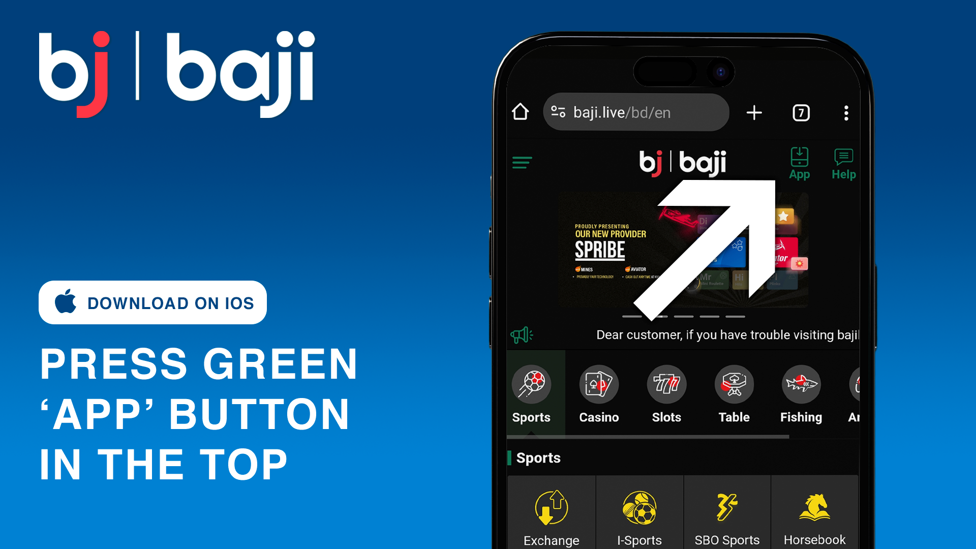 Tap the green 'App' button at the top right to go to the iOS installation page