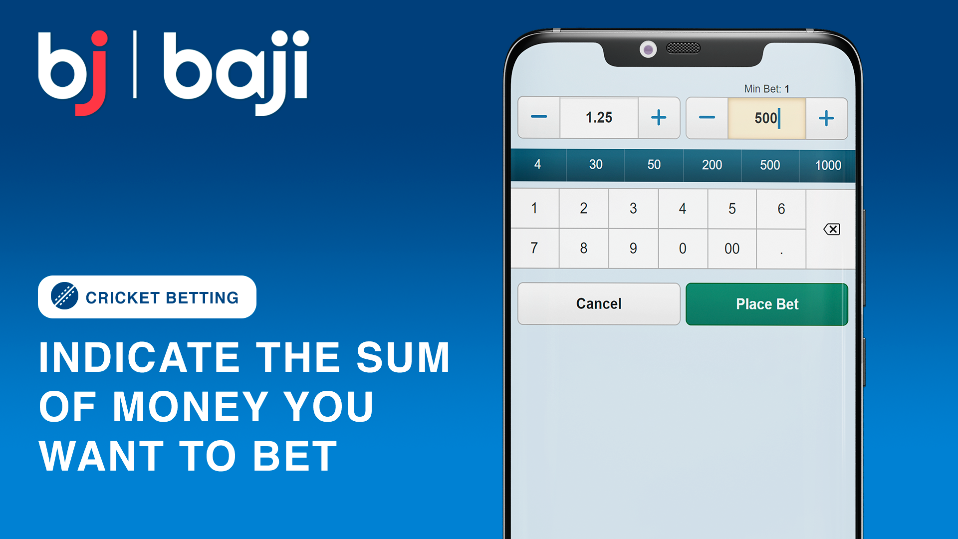 Enter Your Bet Amount – Baji Cricket