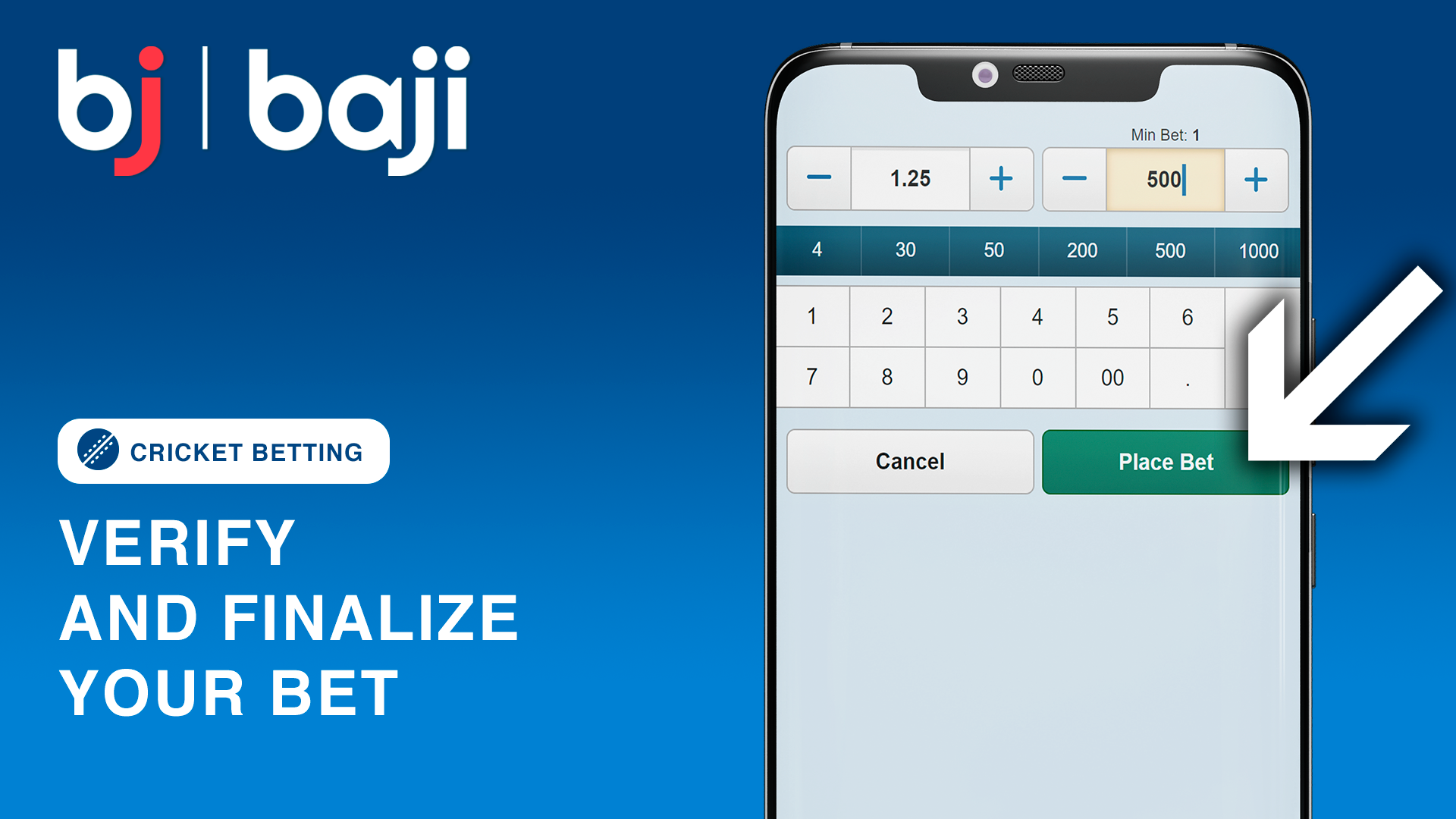 Review your bet details and confirm the transaction to finalize your wager.