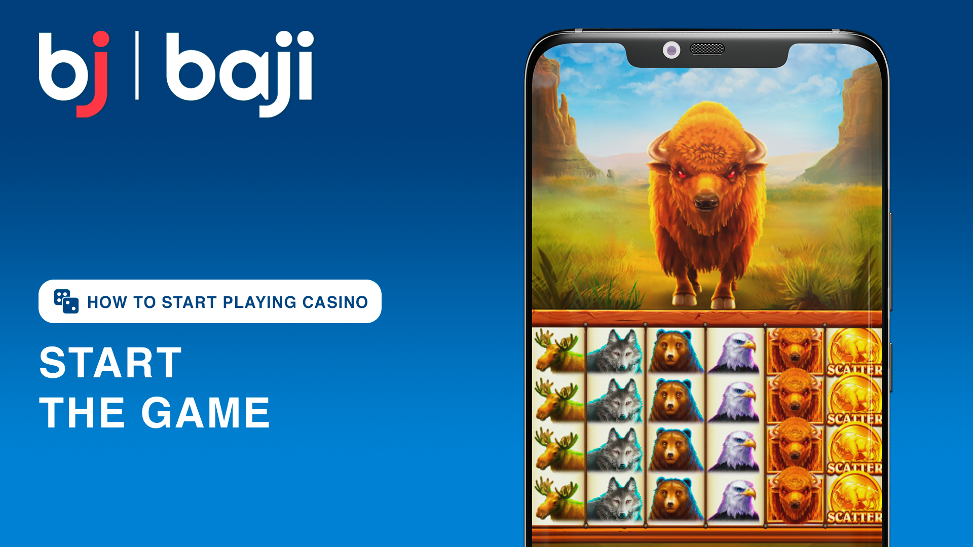 Click 'Play' to start your gaming session.