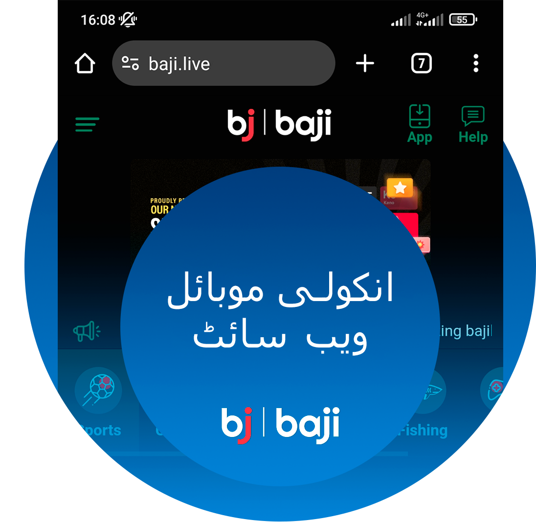 The Baji adaptive website offers the same ease of use as the mobile apps.
