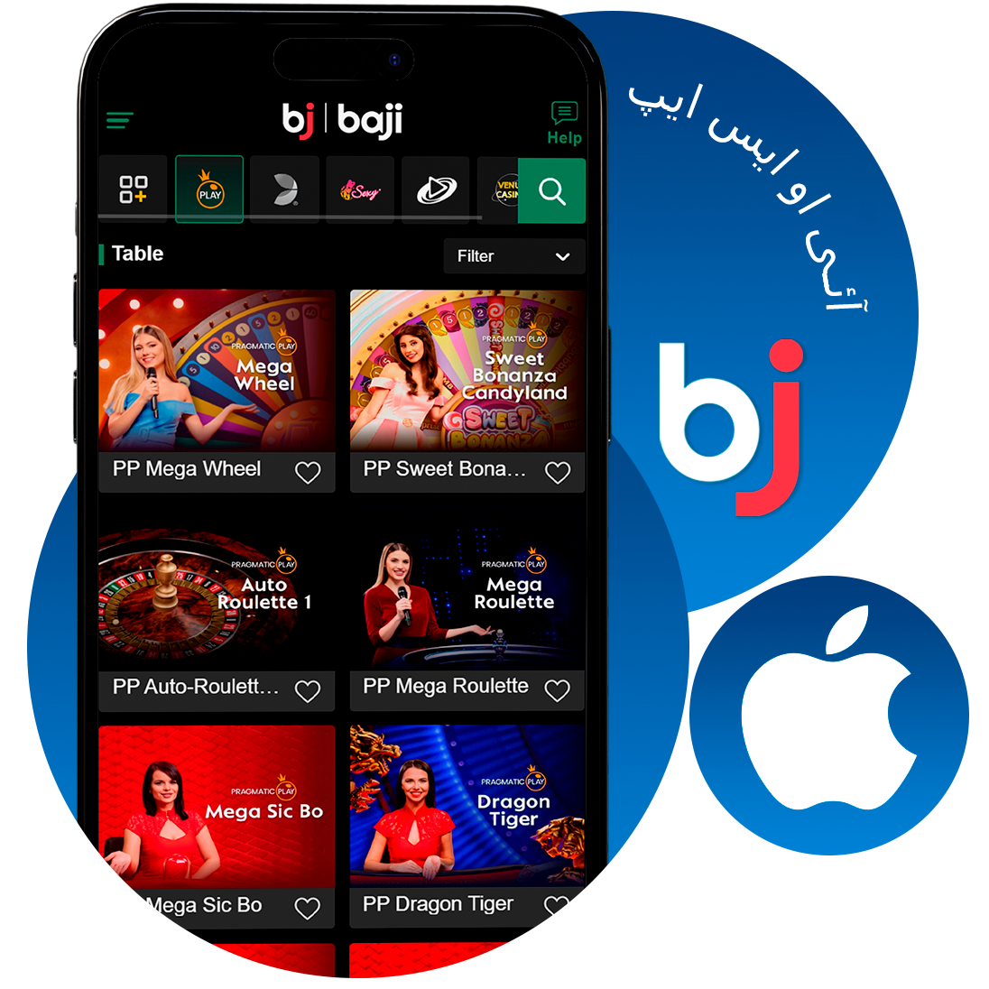 Step-by-step instructions for Baji installation on iOS.