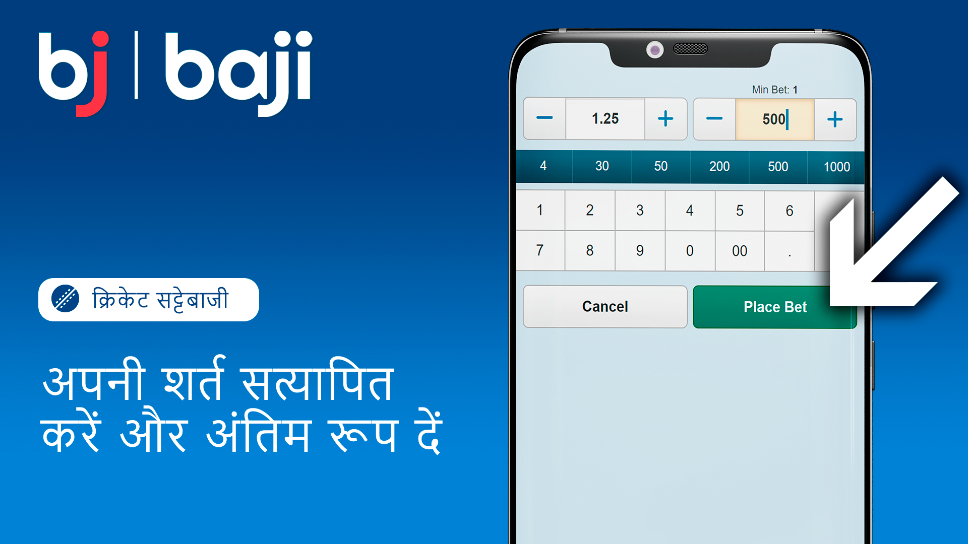 शर्त की पुष्टि करें और अपना दांव पूरा करें - Baji इंडिया